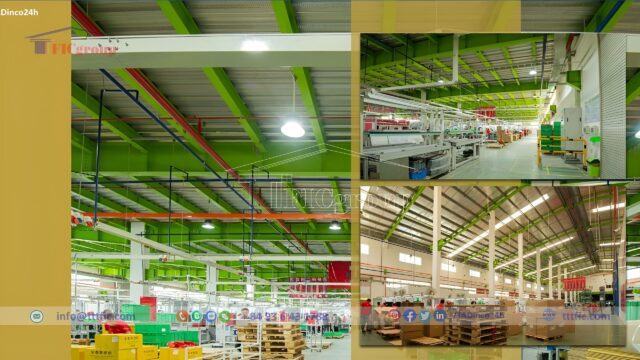 Dai Dang Industrial Park – Ho Chi Minh City – TTTFIC Group