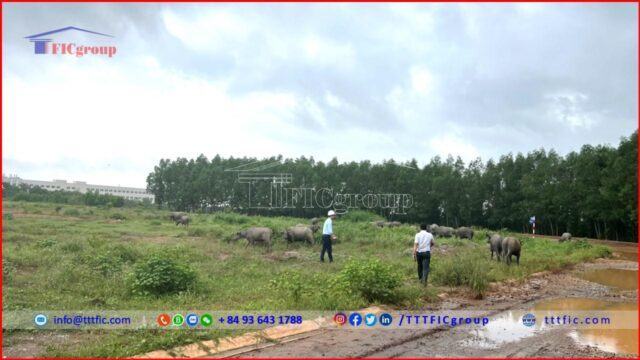Dong Xoai 3 Industrial Park – Binh Phuoc – TTTFIC Group