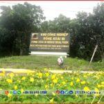 Unlock Your Investment Potential in Vietnam's Thriving Industrial Real Estate Market!