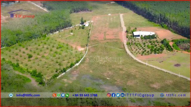 Tan Khai 2 Industrial Park – Binh Phuoc – TTTFIC Group