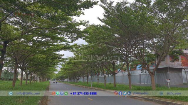 My Xuan B1 – Conac Industrial Park – Vung Tau – TTTFIC Group