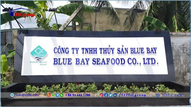 Hoa Trung Industrial Park – Ca Mau Province – TTTFIC Group 2