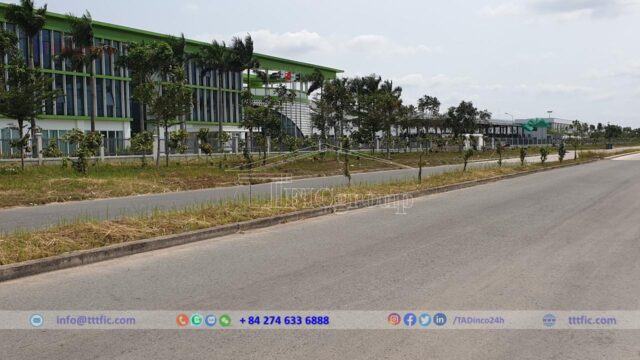 Long Giang Industrial Park – Tien Giang – TTTFIC Group