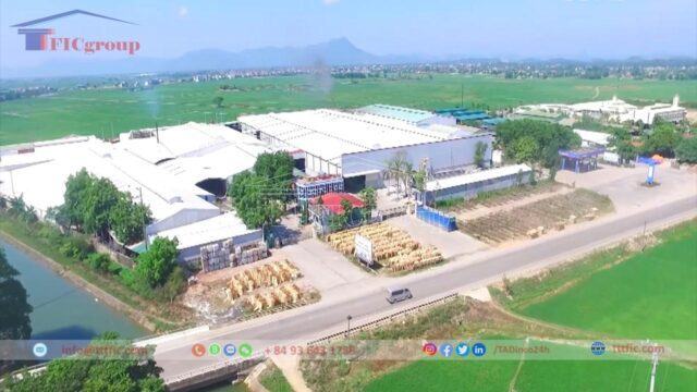 Trieu Son Industrial Cluster in Thanh Hoa Province-tttfic-group 1