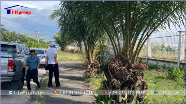 Land for sale in Song Than 3 Industrial Park- Ho Chi Minh City – TTTFIC Group