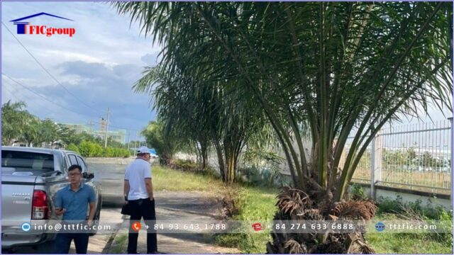 Land for sale in Song Than 3 Industrial Park- Ho Chi Minh City – TTTFIC Group3